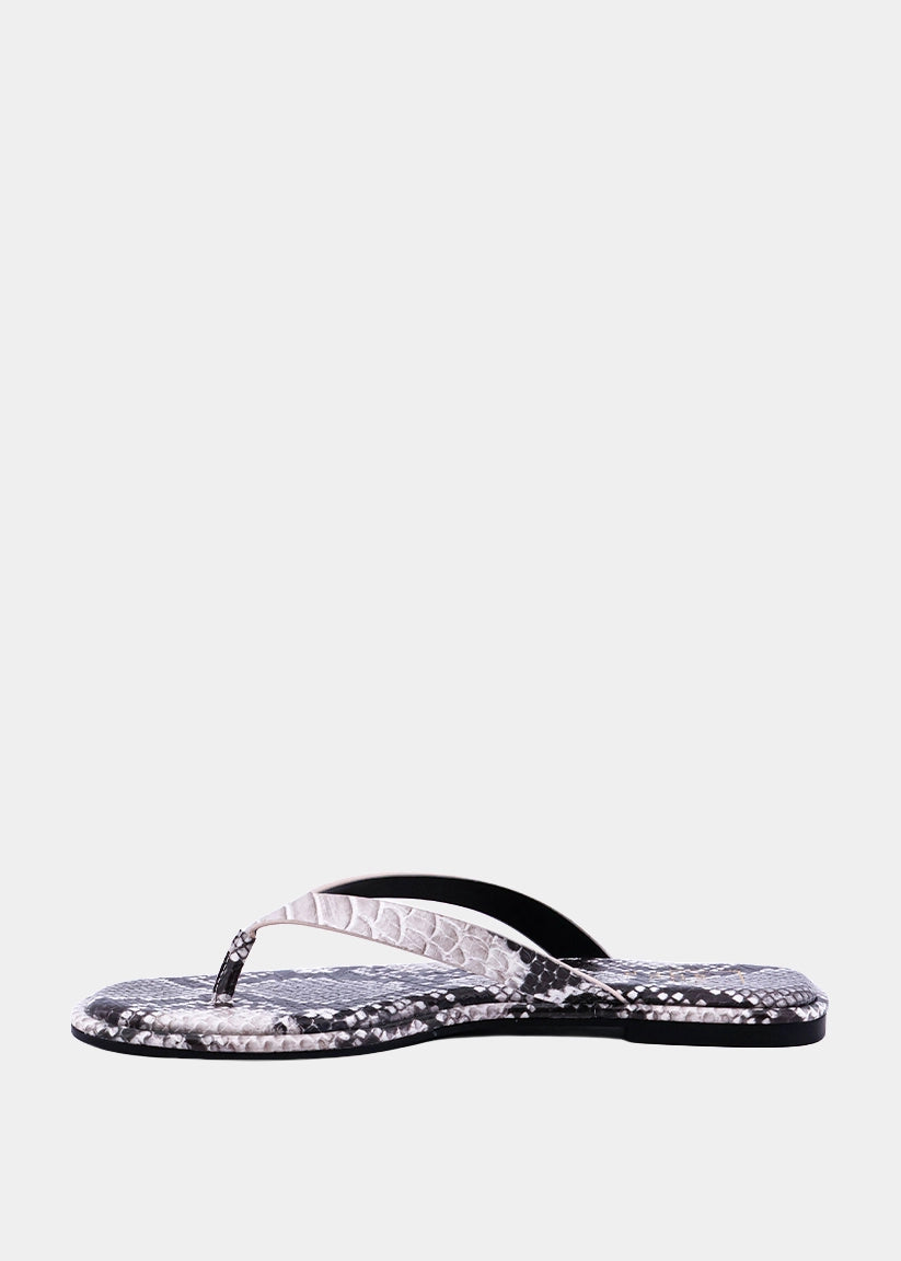 CAPRI