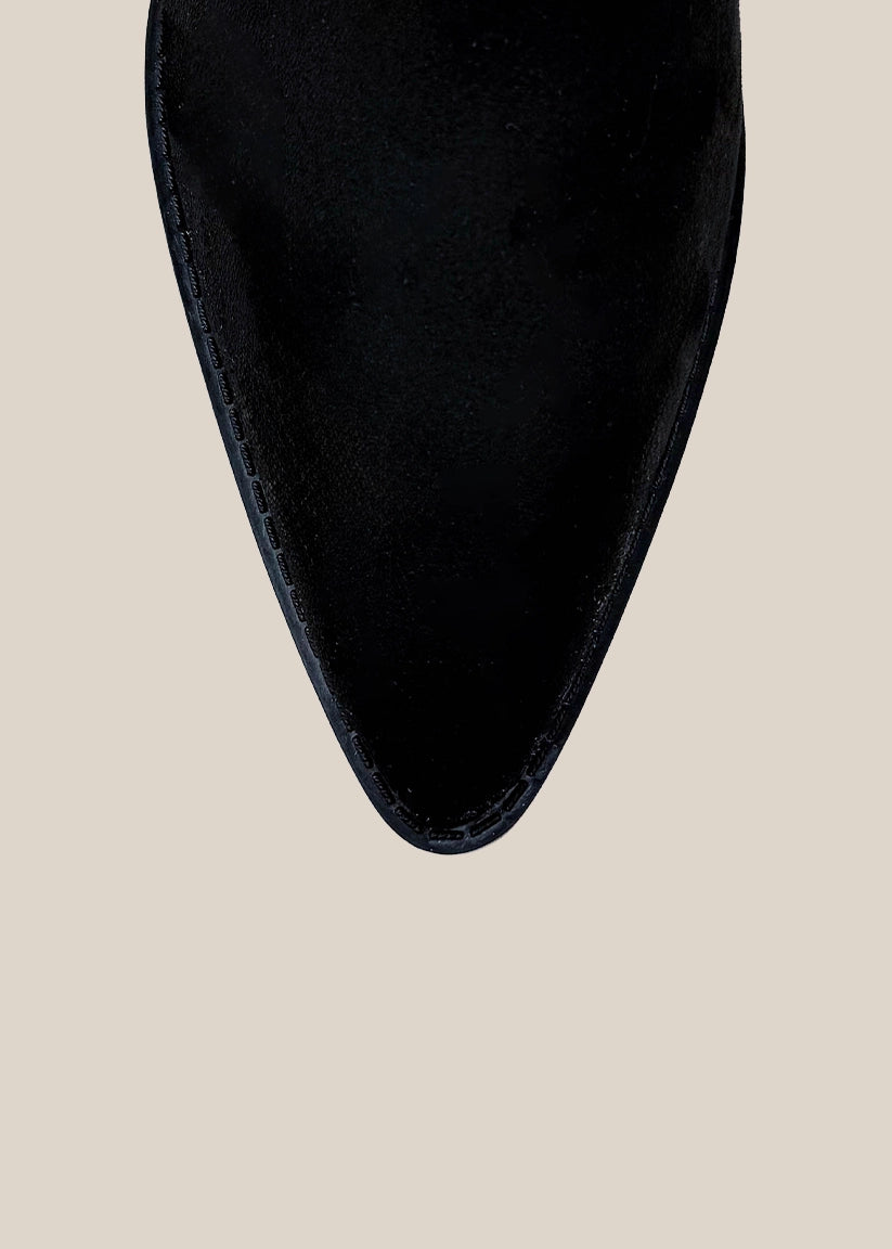 ZONIA